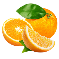 夏橙